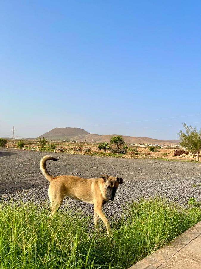 Vakantiehuis Tranquila En El Centro De Fuerteventura *